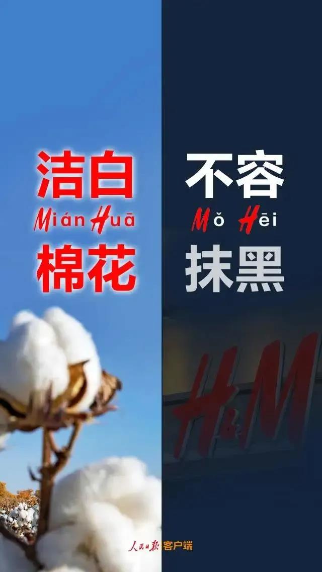 潔白棉花，不容抹黑