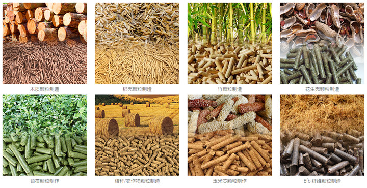 木屑顆粒機(jī)可以使用這些原料來制造生物質(zhì)顆粒.jpg